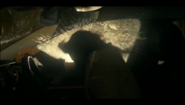 Ray - Season 01 Episode 01